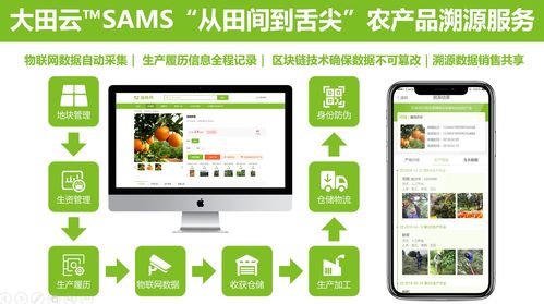 大田智慧農(nóng)業(yè)投資1.28億元數(shù)字化服務(wù)，構(gòu)筑農(nóng)產(chǎn)品安全生產(chǎn)新生態(tài)