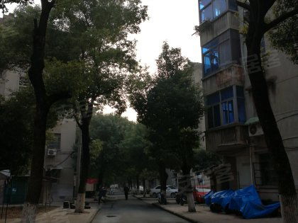 戚廠工房北區(qū)深度解析 居住優(yōu)勢(shì)與不足，以及周邊經(jīng)紀(jì)人專業(yè)評(píng)價(jià)